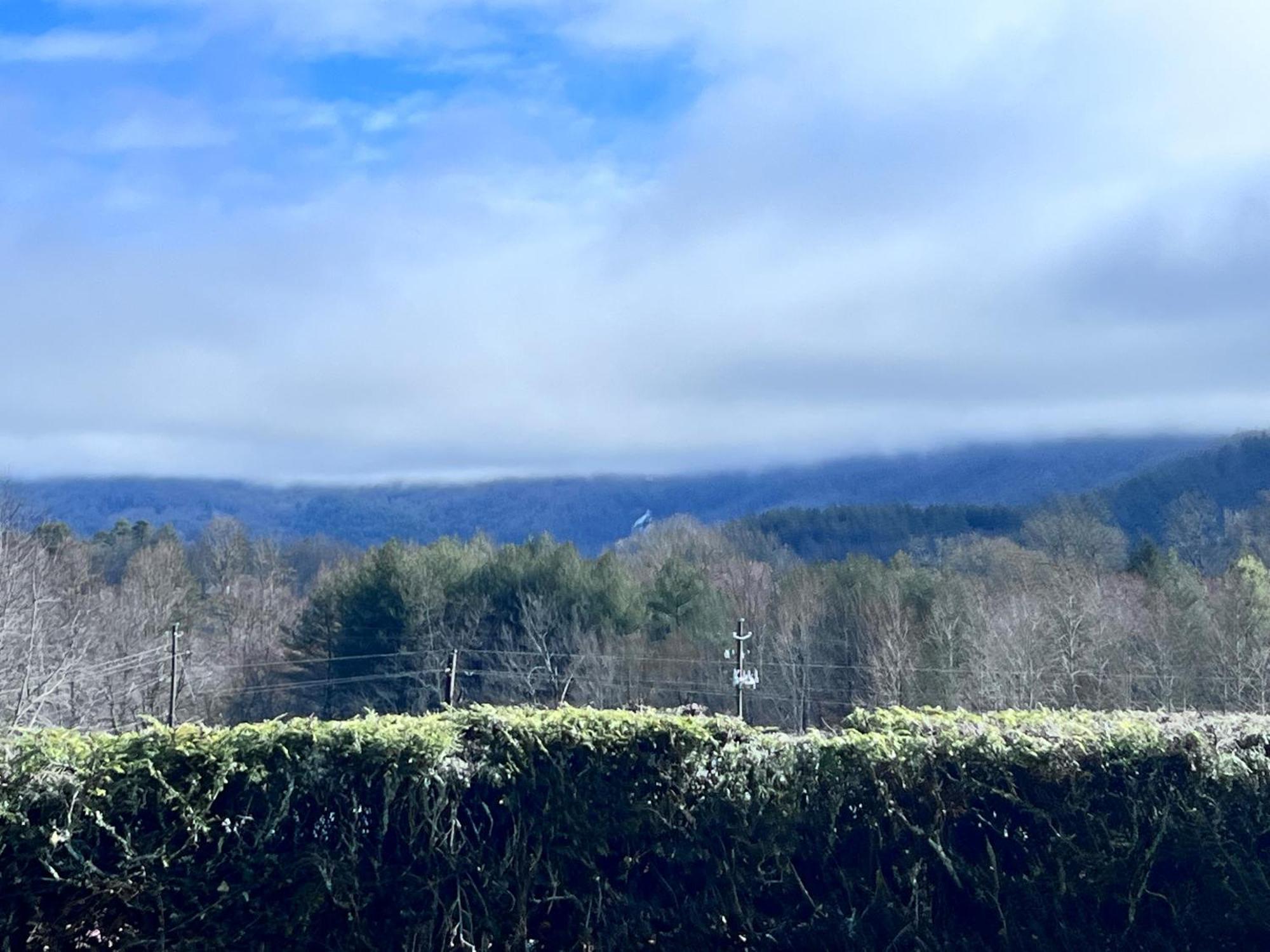 Budgetel Inn & Suites Dillard Buitenkant foto